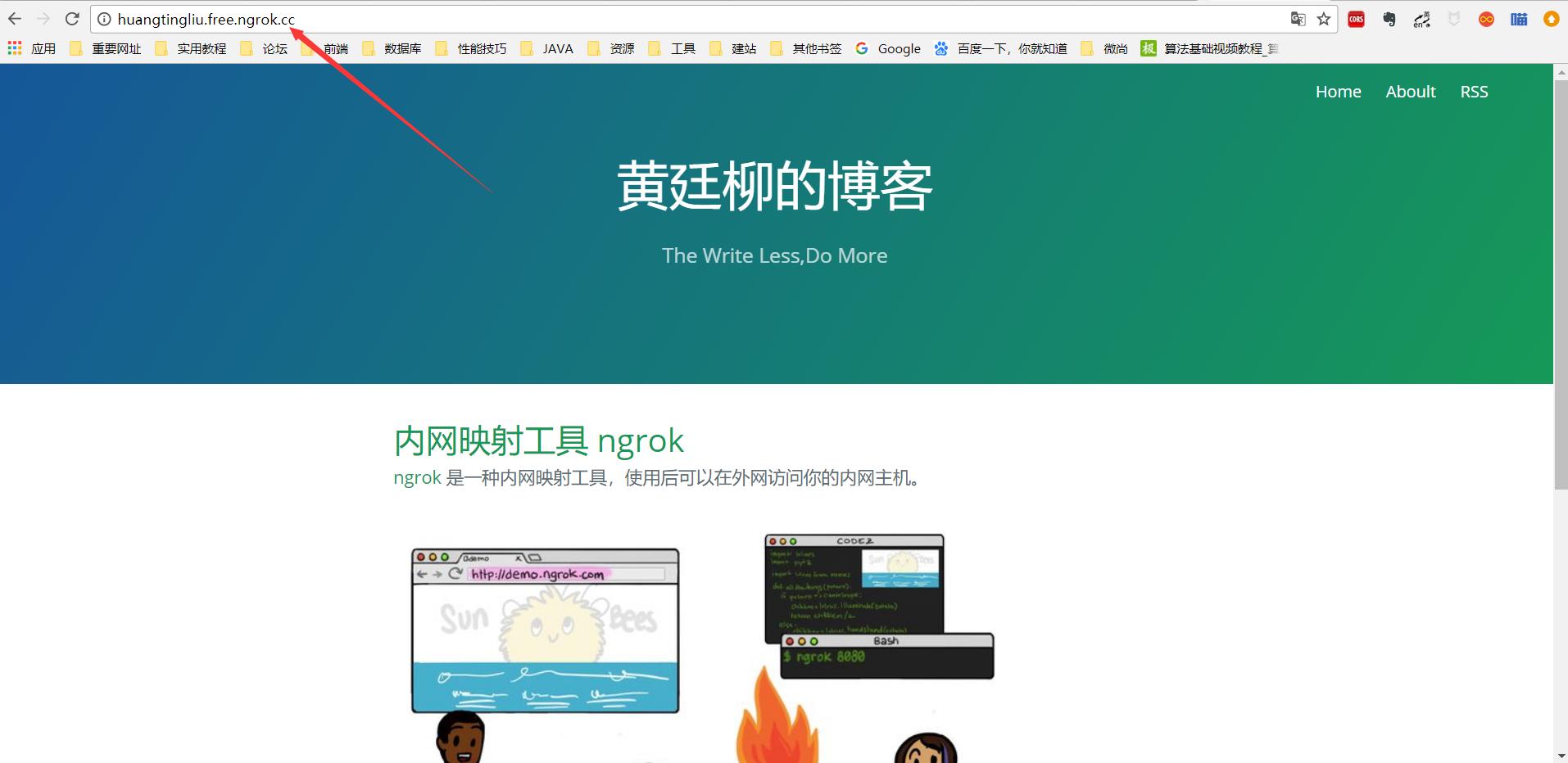 内网穿透ngrok服务器搭建,ngrok内网穿透支持什么协议