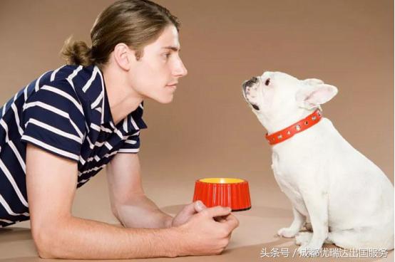 2018年美国海关禁止入境物品,美国海关禁带物品清单