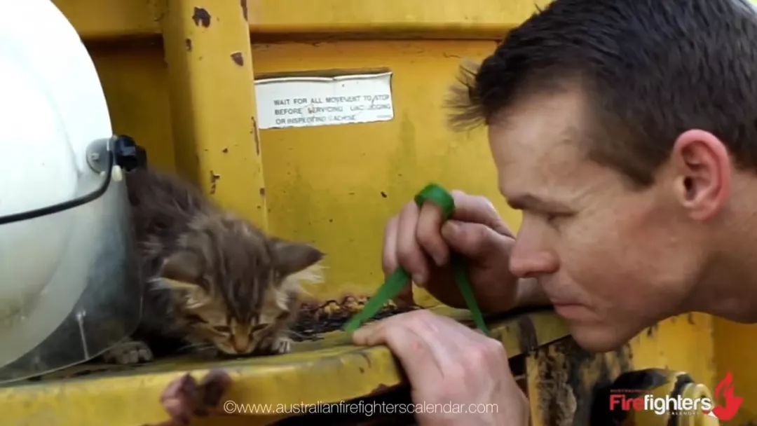 肌肉男和消防员对比视频,中国的消防员肌肉男帅哥视频