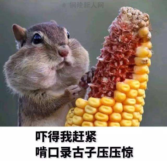 濂充汉浣曡嫤涓洪毦濂充汉缁撳眬,濂充汉浣曡嫤涓洪毦濂充汉姝屾洸