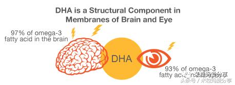 有没有吃dha变聪明的,dha能让宝宝眼珠黑吗