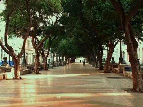 马德里教程完整版,马德里开uber