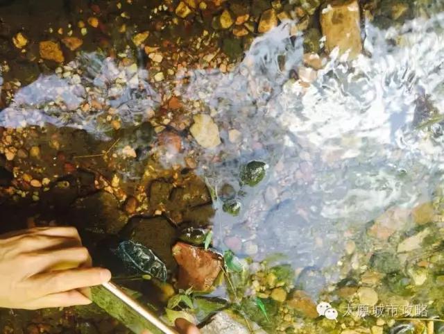 太原爱情山一日游,爱情山一日游门票