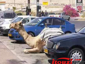 遍地土豪的迪拜,土豪遍地的迪拜