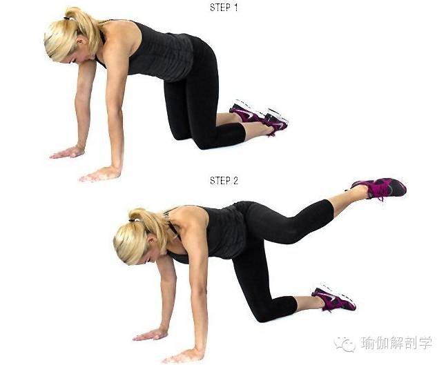 男士怎样减掉大粗腿,怎么减掉体育生粗腿