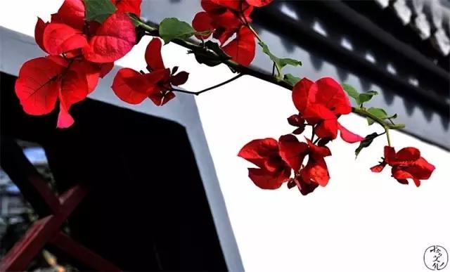 我捉住了一个*花采**贼丨雅娴