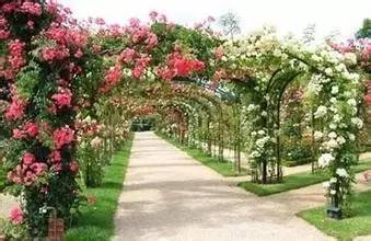 广州大热乡村旅游攻略,广州乡村游