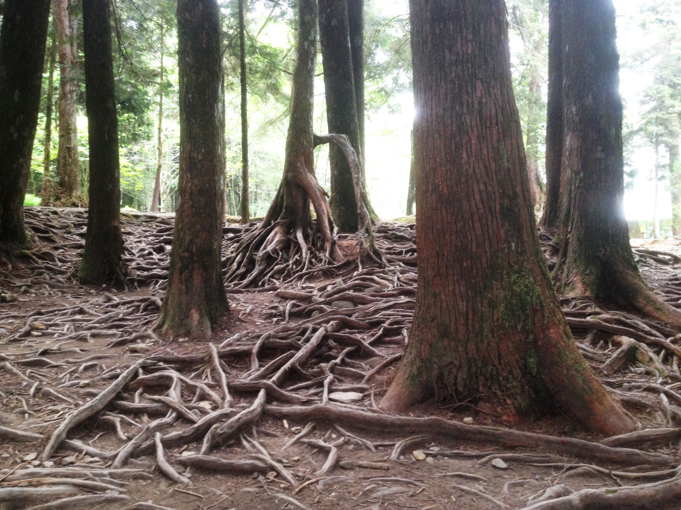 台湾印象图片,台湾印象之日月潭