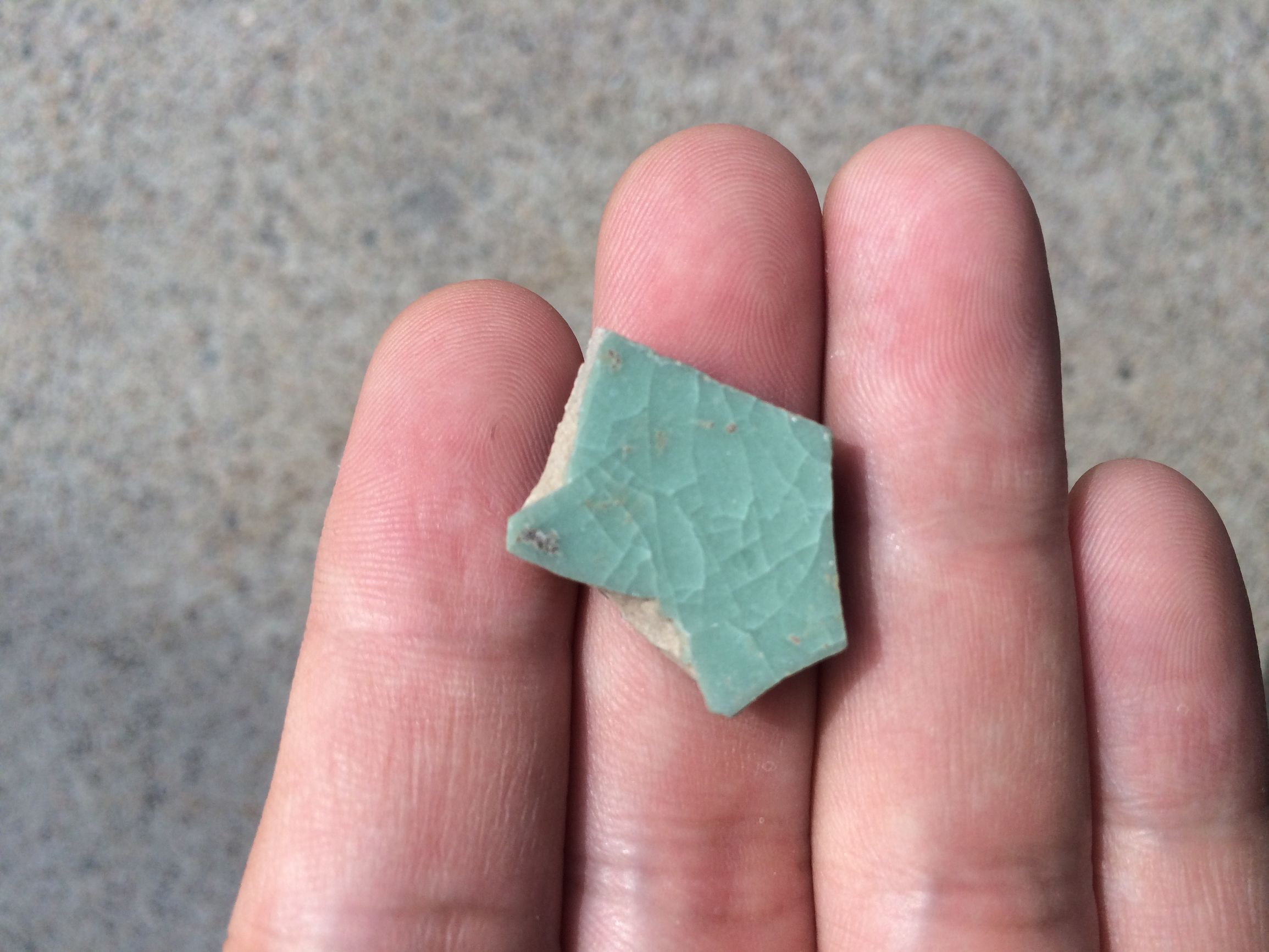 怎么养开片汝瓷,汝瓷都会开片吗