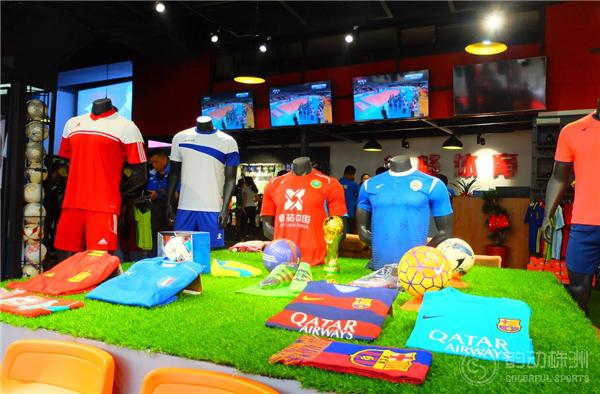 巅峰体育训练营,林峰体育