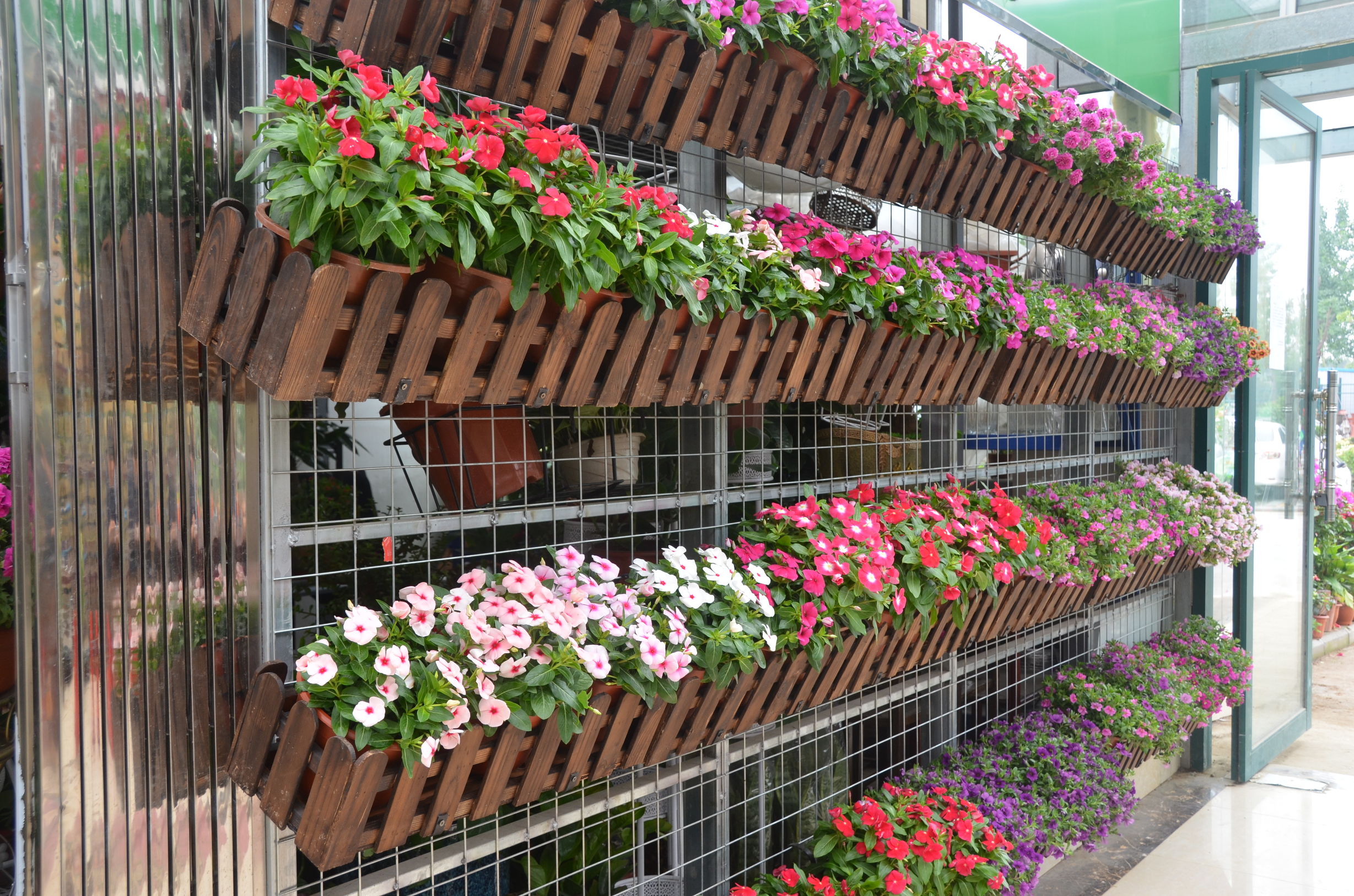 踏青赏花好去处合肥,合肥市内春游赏花公园