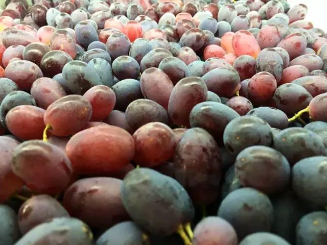 合肥惊现光速水果外卖,最晚到凌晨12点,这么任性的只有它了!