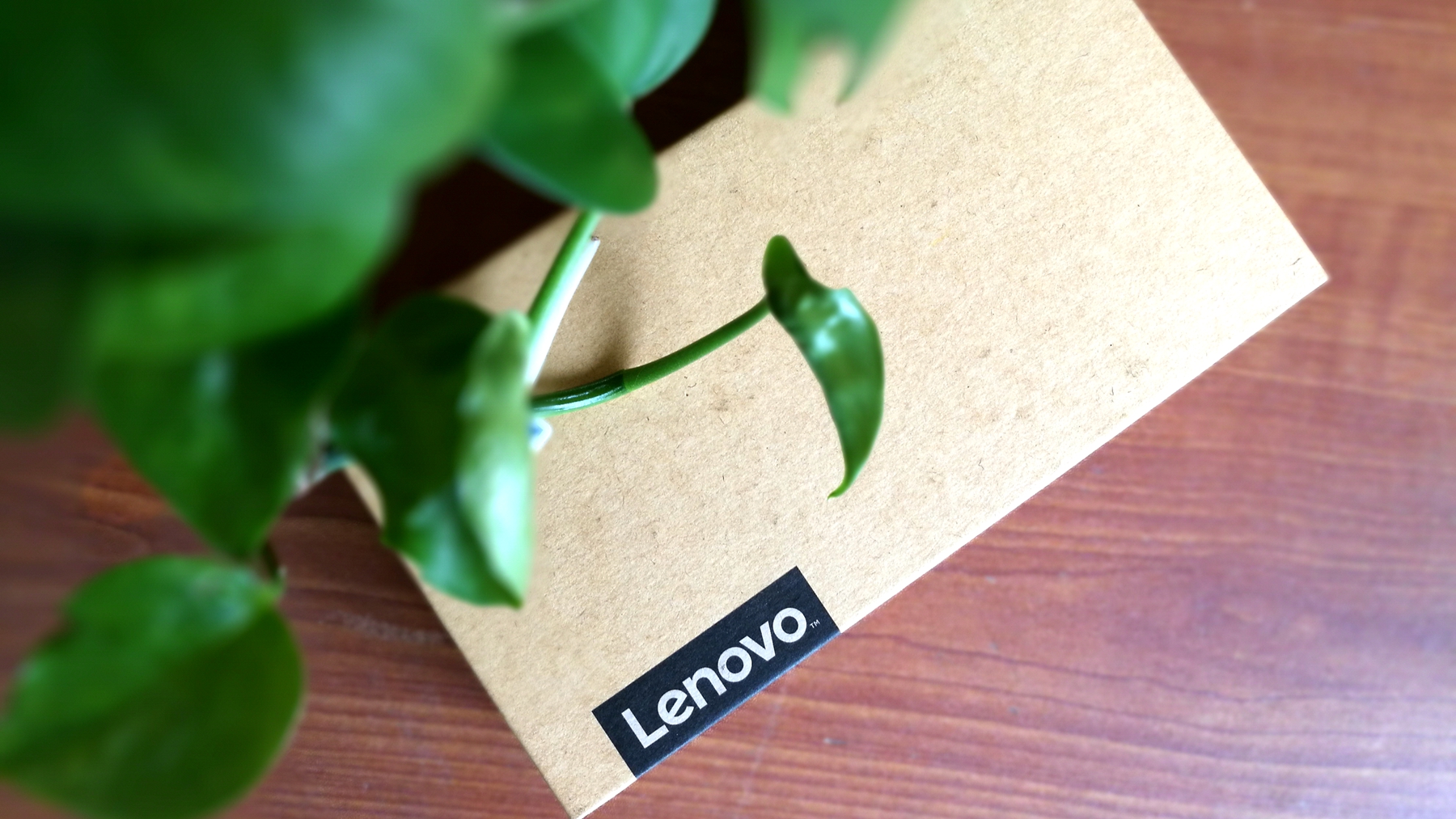 涔愭3,鑱旀兂涔愭3