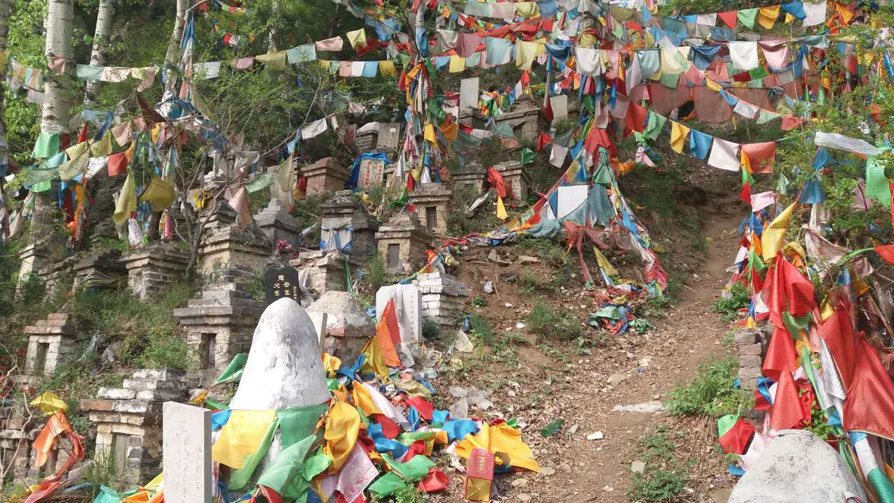 清凉尸林五台山,清凉尸陀林