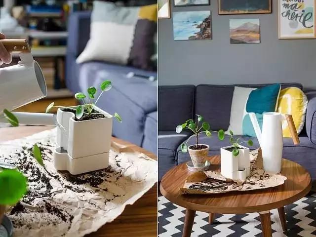 生活中的数字元素,无处不在的自然元素