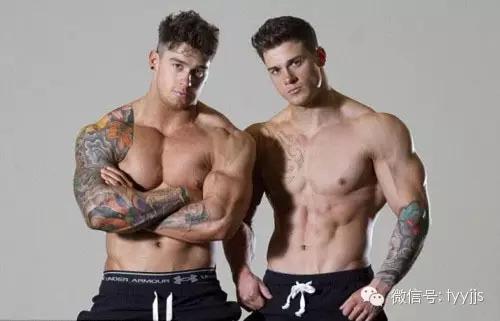 手臂上提肌群,健身基础训练动作