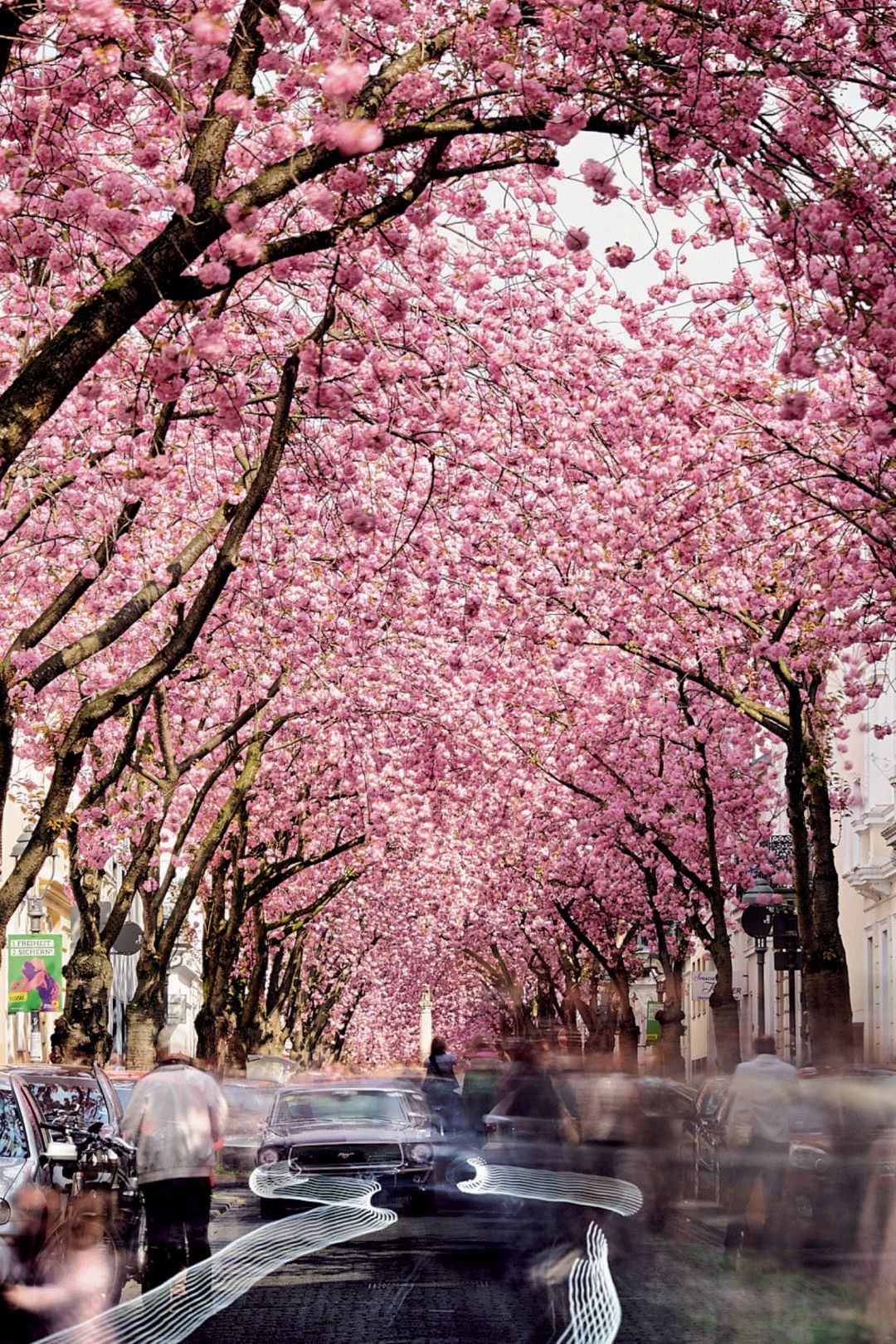 从寒冬到春天之路,从冬到春的旅程