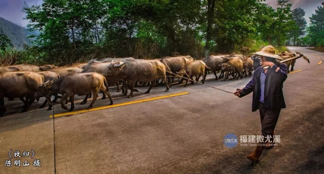 闽中深山里，有谁知道这个尤溪姑娘？真的太美了！