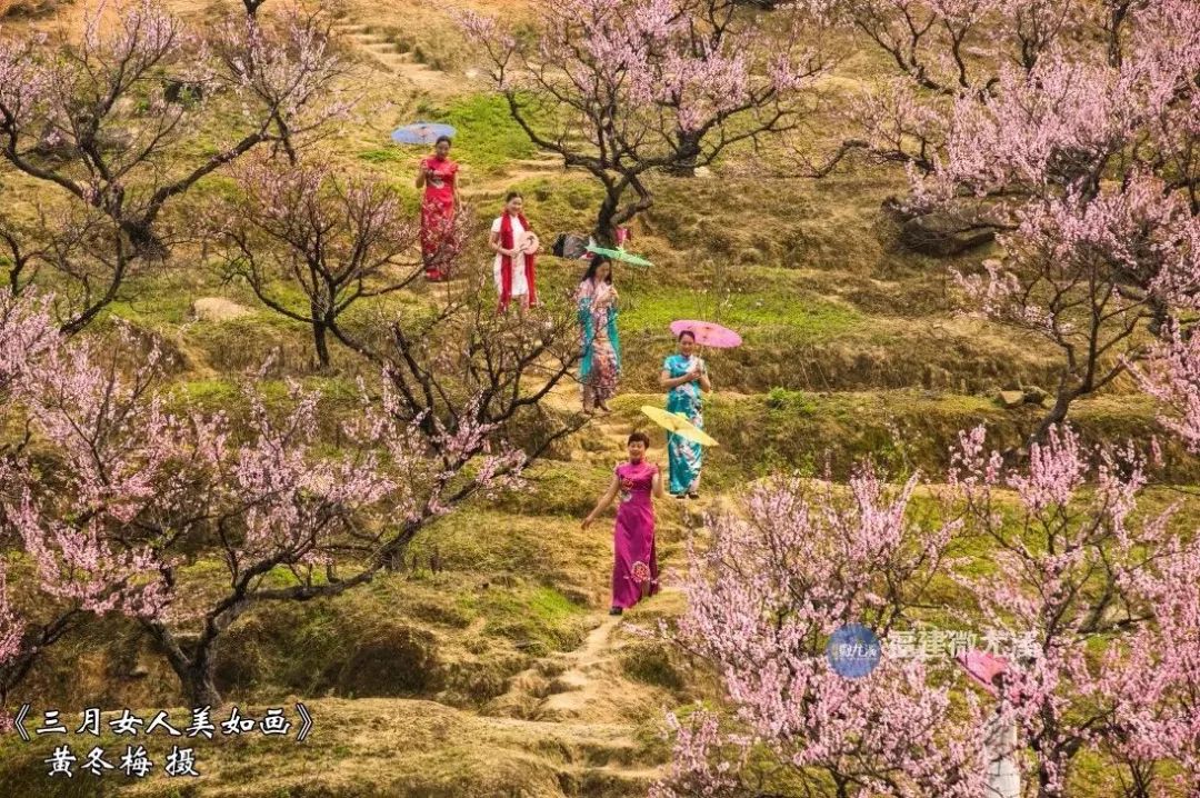 闽中深山里，有谁知道这个尤溪姑娘？真的太美了！