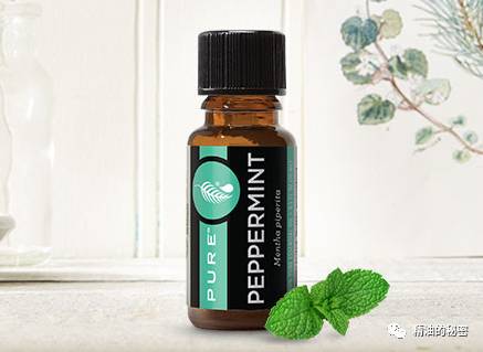 美乐家生姜精油的功效与作用,美乐家精油大全