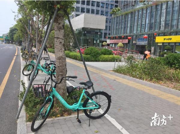 滴滴青桔乱停放投诉,深圳交委监管滴滴