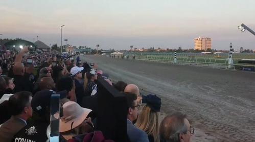 快讯：玉碎之战！“鸠占鹊巢”成为飞马世界杯首位冠军