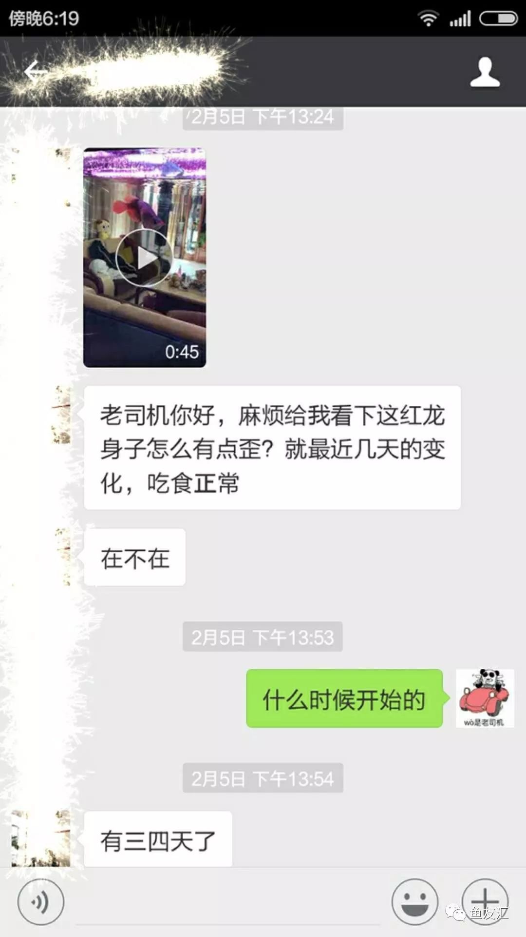 龙鱼为啥是身体弯曲死,龙鱼身体弯曲呈s型怎么回事