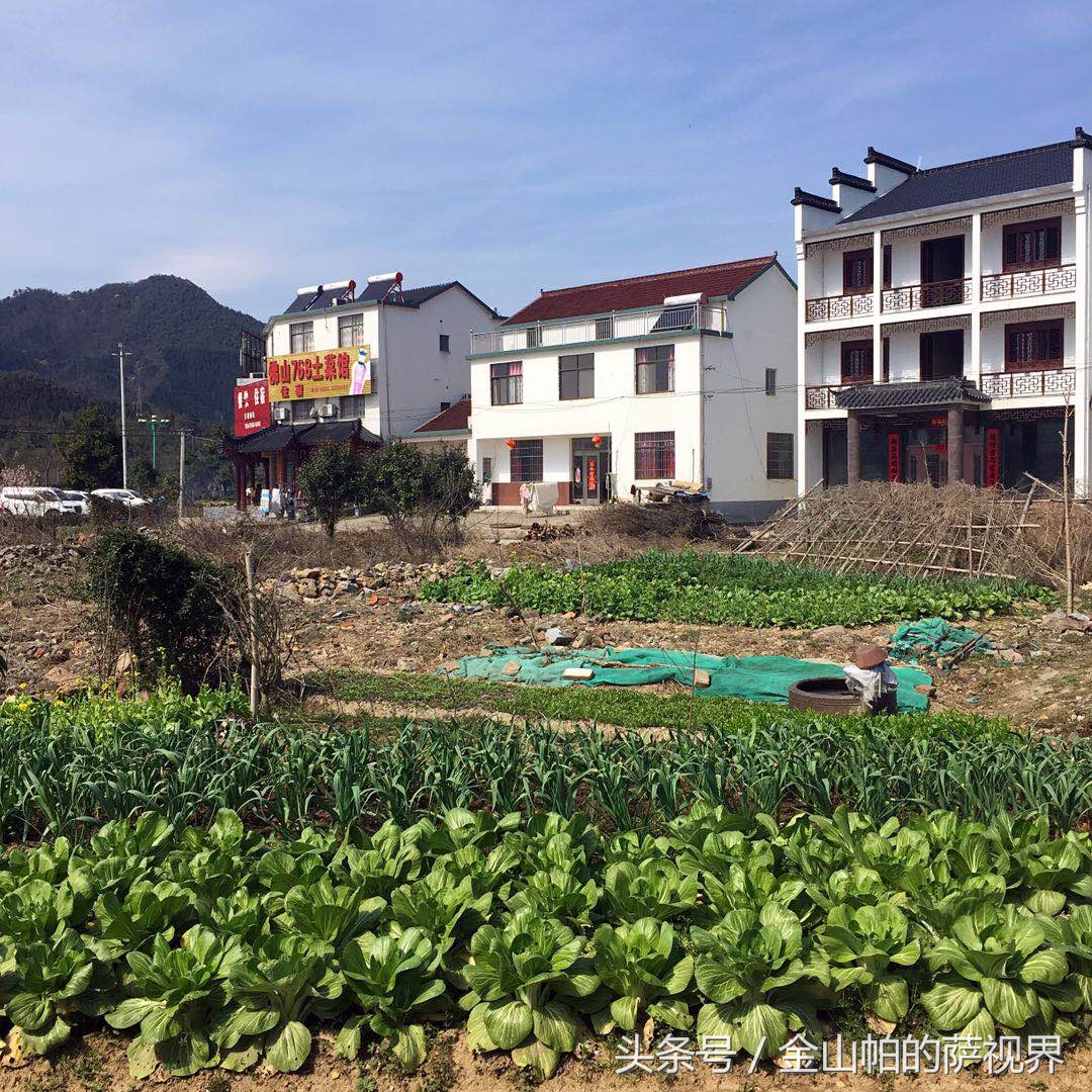 九华山农家院子,九华山民宿老板娘兼导游