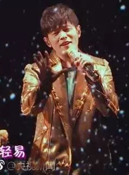 2020春晚明星费用,央视春晚港台歌星盘点