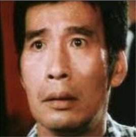 香港邵氏100部武打电影男反派,邵氏电影反派角色扮演