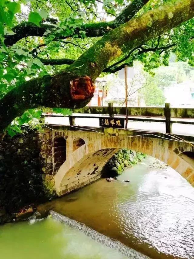 乐清十大古村落,乐清市未开发的古村落