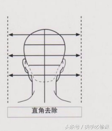 沙宣美发的十大基础知识,美发课程沙宣