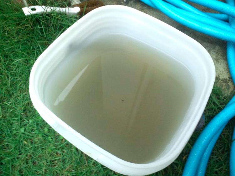 用水做凝胶果冻,做果冻用的什么凝胶