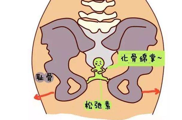 孕晚期耻骨痛是什么感觉,孕晚期耻骨痛是怎样的感觉