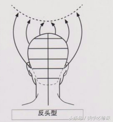 沙宣美发的十大基础知识,美发课程沙宣