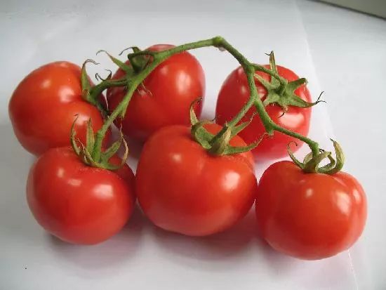 厨师刀应该怎么选,厨师专用刀哪种最耐用又锋利