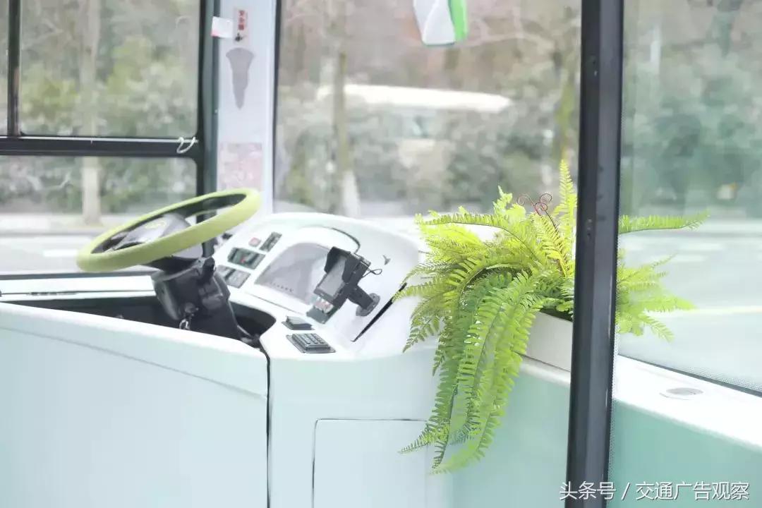 用巴士打造花园式移动天然影院，这波操作你见过么？