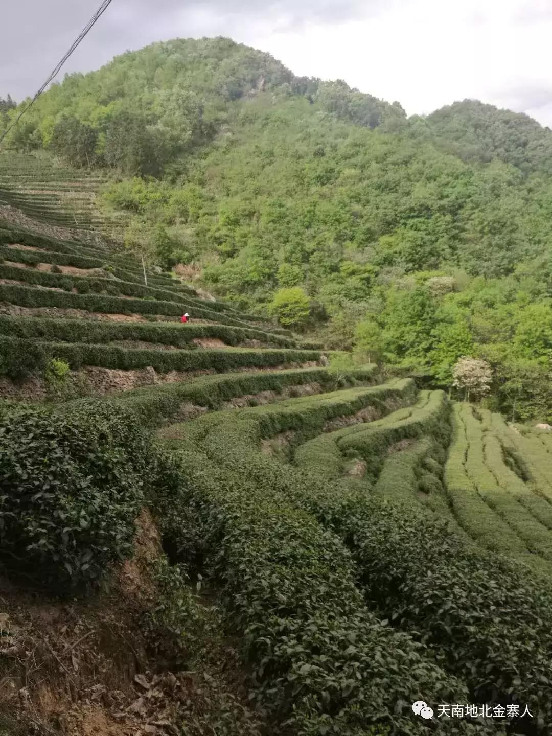 南溪山的传奇故事,宜宾南溪县的传说