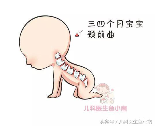 宝宝多大可以用有高度的枕头,宝宝多大可以用枕头枕着