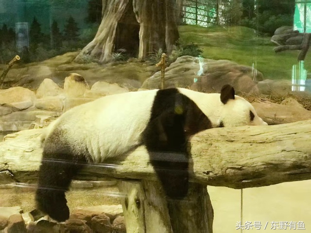 台北爱情故事,投稿东北爱情故事