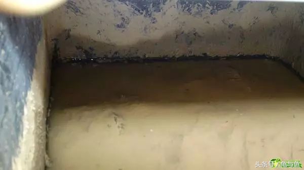 冬眠的正确疗法,冬眠的动物都怎么样越冬