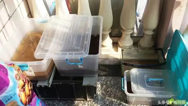 冬眠的正确疗法,冬眠的动物都怎么样越冬