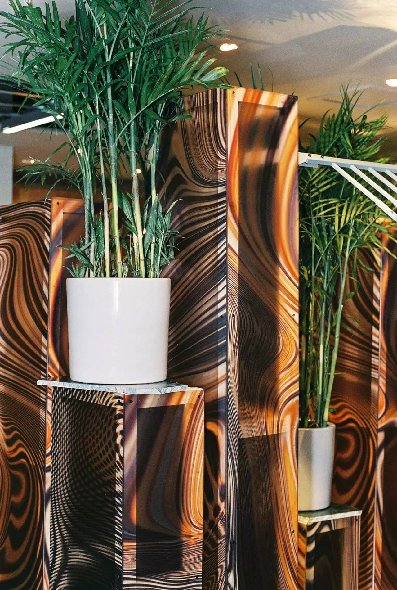 小时候看起来很乖长大后很壮,小时候看得很幼稚长大后才明白