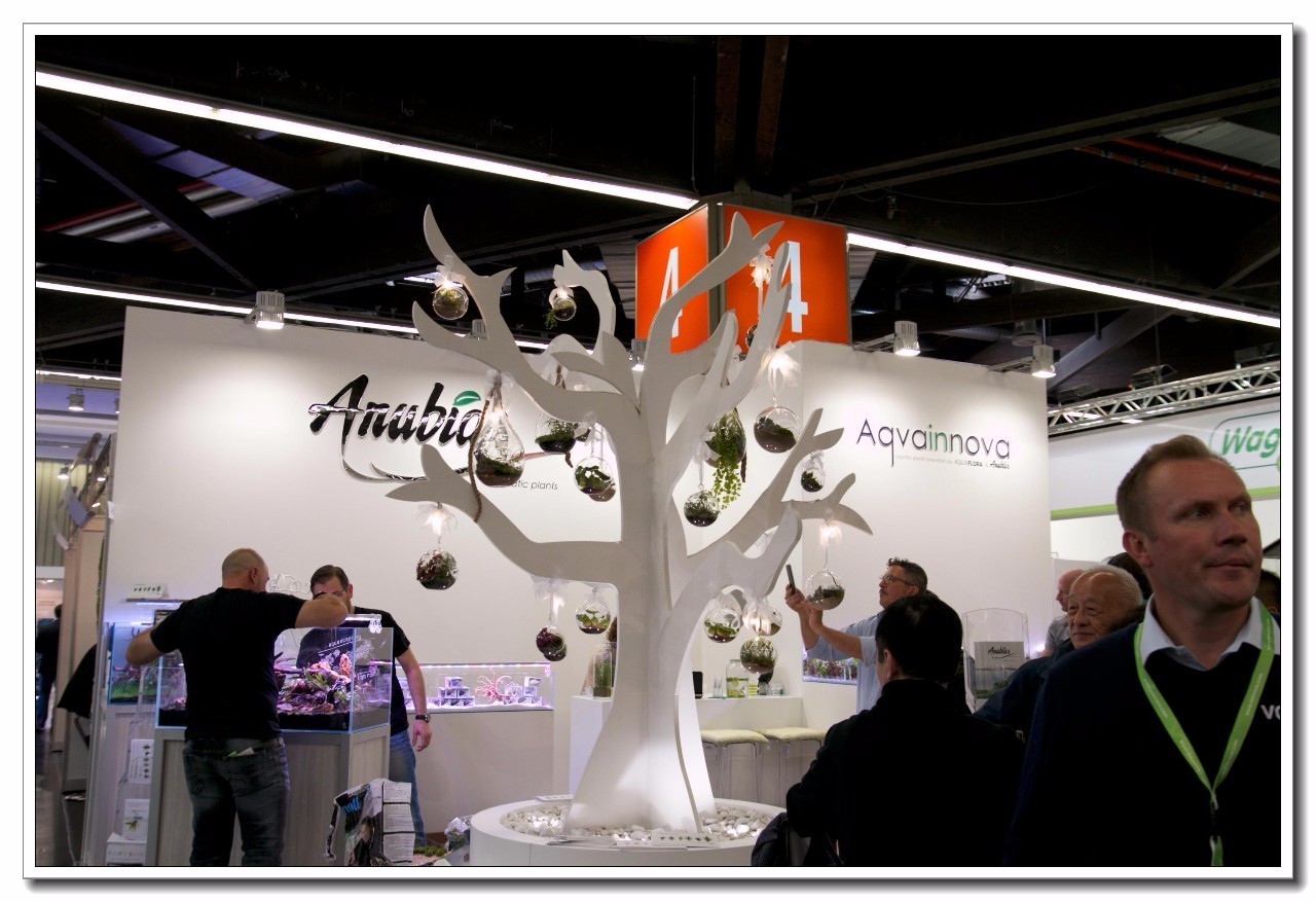 德国纽伦堡宠物展,2018德国纽伦堡宠物展