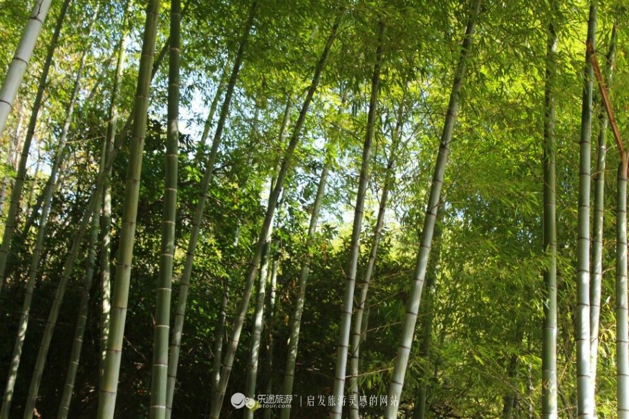 上饶灵山诗句,上饶话介绍灵山