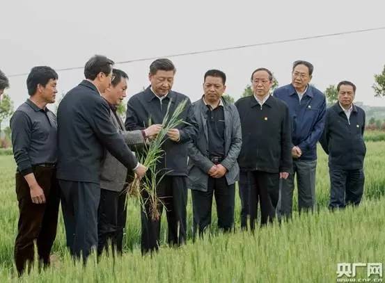 当农民到底能不能挣大钱？