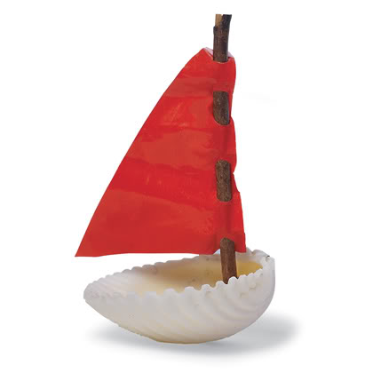 贝壳海洋工艺品摆件,贝壳工艺品叫什么