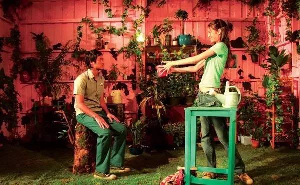 视觉盛宴体验爱丽丝梦游仙境,爱丽丝梦游仙境一个美丽的画面