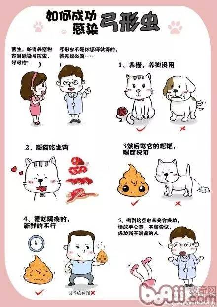 怎么才能感染弓形虫,弓形虫怎么感染到人身上