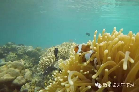 泰国的马尔代夫丽贝岛,泰国马尔代夫的海岛